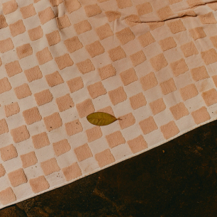 Swim Club facilities